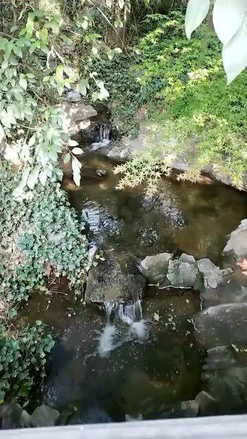 尤卡大莱莉冒险
