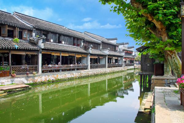 河南内乡编纂完成《古树名木集》