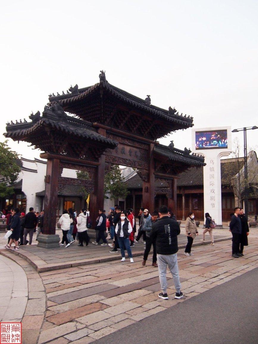 五彩鹦鹉救援